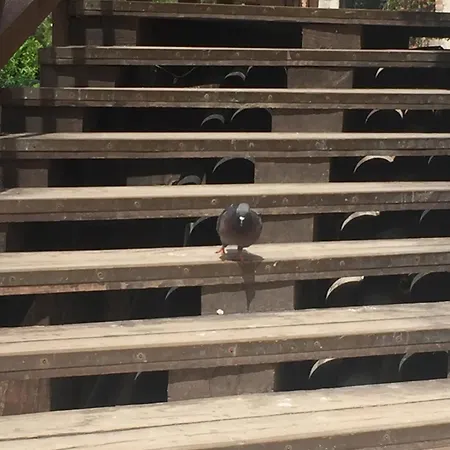 Bella Meimei Apartman Velence